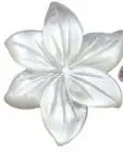 2020 nauja populiarios šešių lapų shell gėlių fizinis apvalkalas gėlių priedai ranka raižyti 