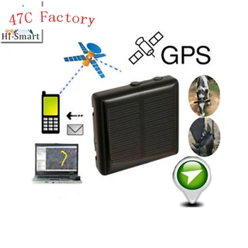 Profesinės 2019 Naujas Gaminys Aukštos Kokybės Mini Smart Anti Prarado Gyvūnų Augintinių GPS Tracker Locator GPS Sekimo Prietaisas
