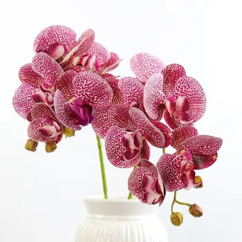 1 Krūva (6 galvutes) Plastiko Drugelių Orchidėja , Naudoti Namų Dekoravimas, Vestuvių Dekoravimas Gėlių