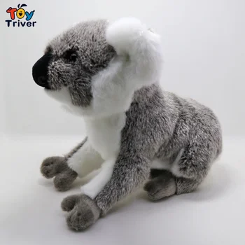 Kawaii Australijoje Koalos Pliušiniai Žaislai Iškamšos Lėlė Baby Vaikai Mergaitės Ir Berniukai, Vaikų, Suaugusiųjų Gimtadienio Dovana Kambario Dekoro
